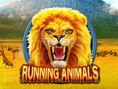 Running Animals screenshot