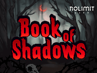 Book Of Shadows screenshot